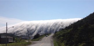 Tsunami di nebbia! Un fenomeno rarissimo e spettacolare! [VIDEO]