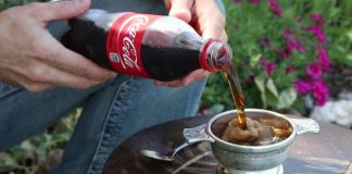 Scherzo della Coca-Cola auto-congelante! [VIDEO]