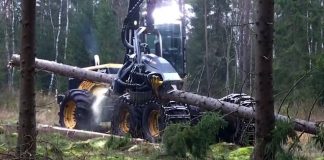 Incredibile macchinario! Trasforma alberi in tronchi in 10 secondi! [VIDEO]