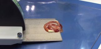 Incredibile invenzione giapponese che ha stupito il mondo! [VIDEO]