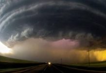 cellula temporalesca