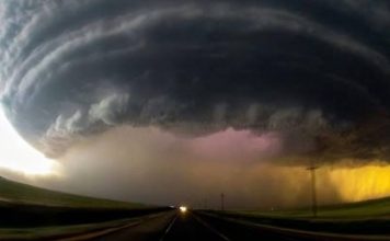 cellula temporalesca