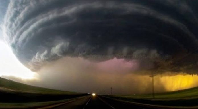 cellula temporalesca