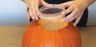 Mette un contenitore in una zucca… E crea qualcosa di unico e originale! [VIDEO]