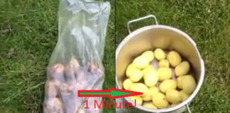 Pelare 2 Kg di patate in 60 secondi! Ecco come fare… [VIDEO]