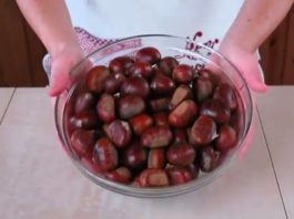 ciotola castagne