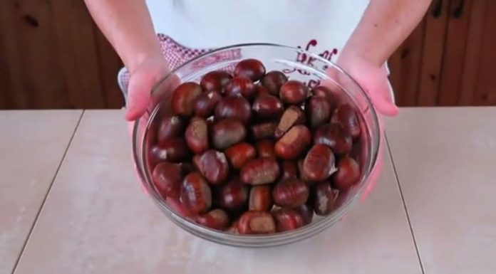 ciotola castagne
