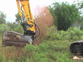 albero polverizzato video