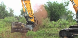 Polverizza un albero di 10 metri in 10 secondi! [VIDEO]