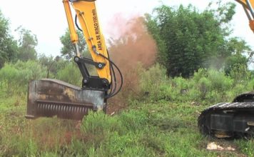 albero polverizzato video
