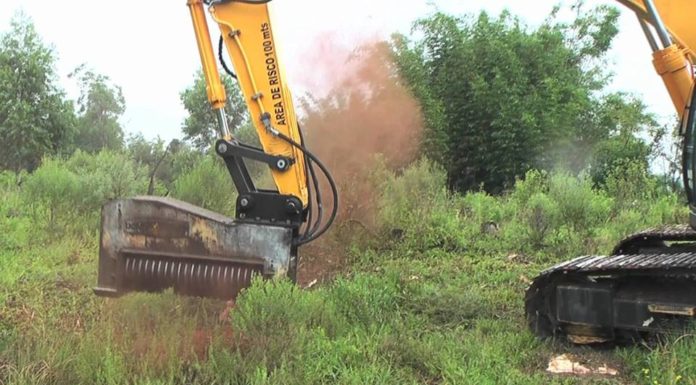 albero polverizzato video