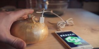 Ricarica lo smartphone con una cipolla! Incredibile! [VIDEO]