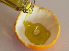 arancia candela clementina video