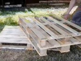 pallet
