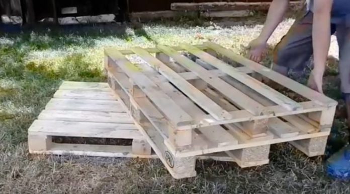 pallet
