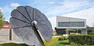 Girasole fotovoltaico, 50 volte più efficiente dei pannelli solari! [VIDEO]