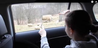 Incredibile auto con i finestrini interattivi! [VIDEO]