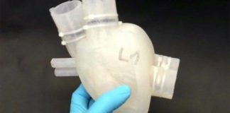 Il primo cuore stampato in 3D perfettamente funzionante! [VIDEO]